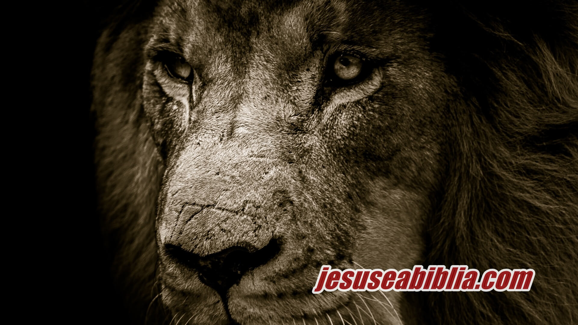 Quiz com 10 perguntas sobre o Profeta Daniel na Cova dos Leões